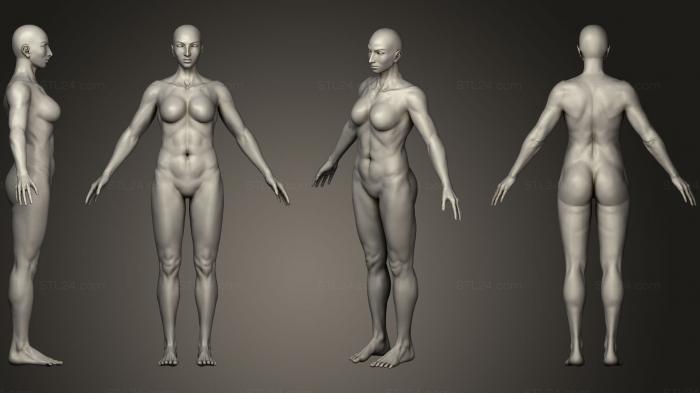 Anatomy of skeletons and skulls (Female, ANTM_0532) 3D models for cnc